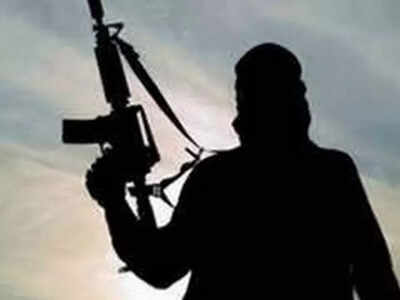 At least 10 Naxals, including senior commander, neutralised in Chhattisgarh