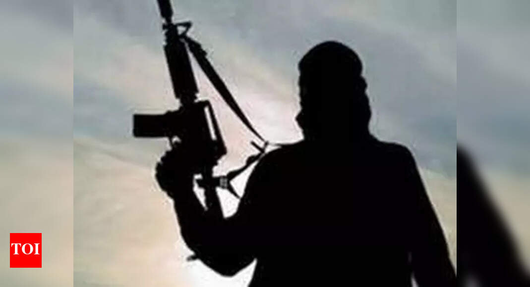 At least 10 Naxals, including senior commander, neutralised in Chhattisgarh