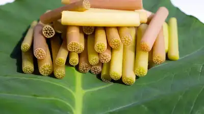  A nutritious superfood to include in your diet