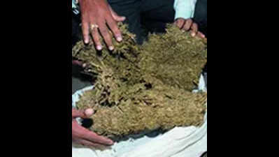 6 arrested in Berhampur for smuggling 55 kg of ganja from Kandhamal