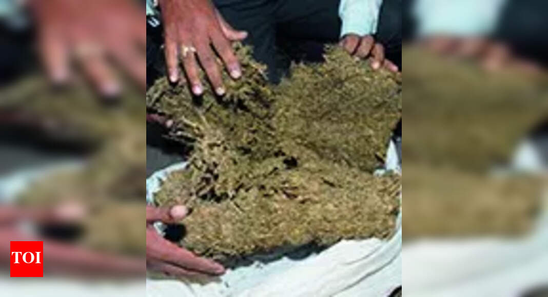 6 arrested in Berhampur for smuggling 55 kg of ganja from Kandhamal
