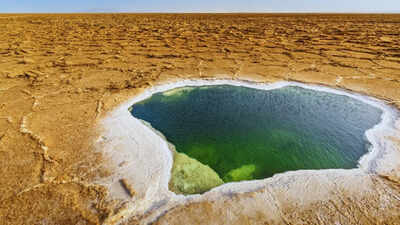 Which lake has the highest salt concentration in the world?