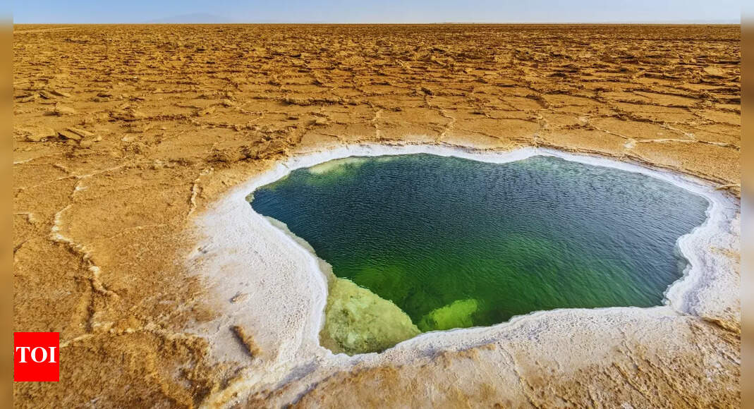 Which lake has the highest salt concentration in the world?