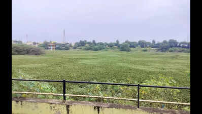 Kempkeri lake revamp stalled for years; residents grow impatient