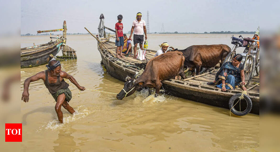 Ganga floods Buxar for fourth time this season