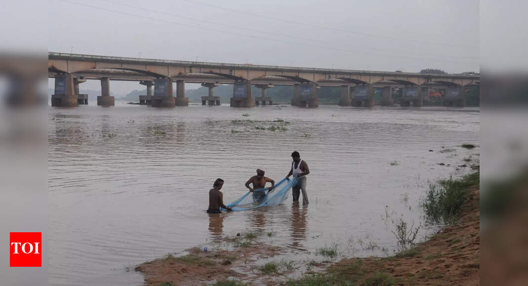 Odisha government approves Rs 240 crore Mahanadi riverfront development project for tourism and ecological enhancement