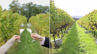 English bubbly beats champagne for first time to win top award