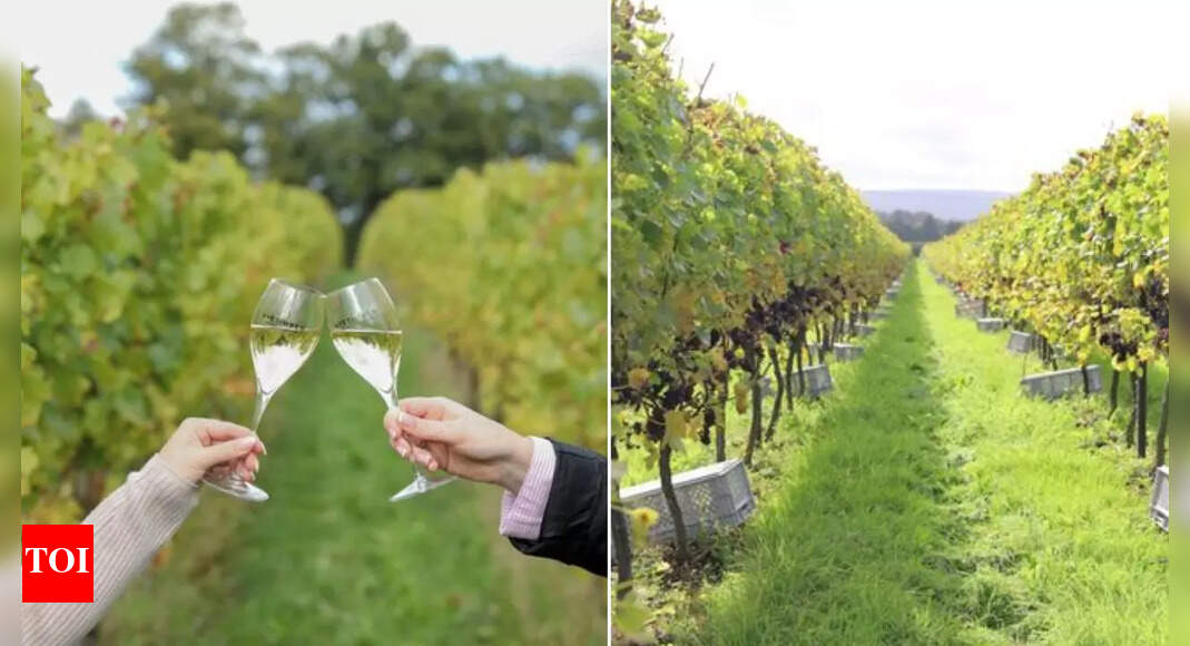 English bubbly beats champagne for first time to win top award