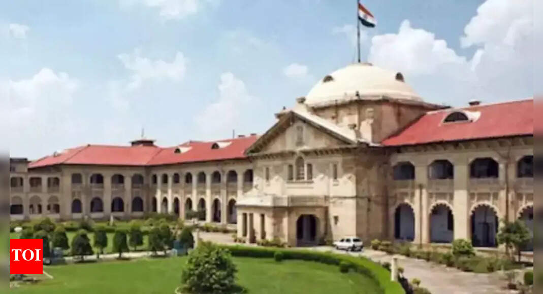 Allahabad HC says man insulting tricolour deserves no sympathy, denies bail