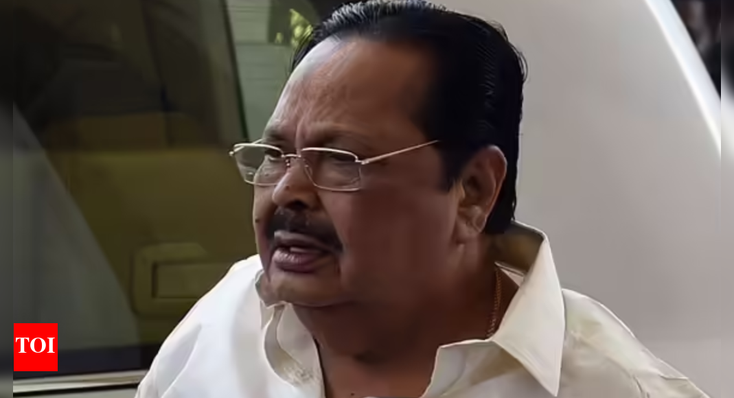 'Tamil Nadu is not Bihar': DMK's Durai Murugan on proposition of SIR