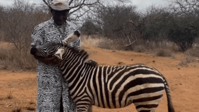  Orphaned 'Bombi' thinks zookeeper is her mom- watch viral video