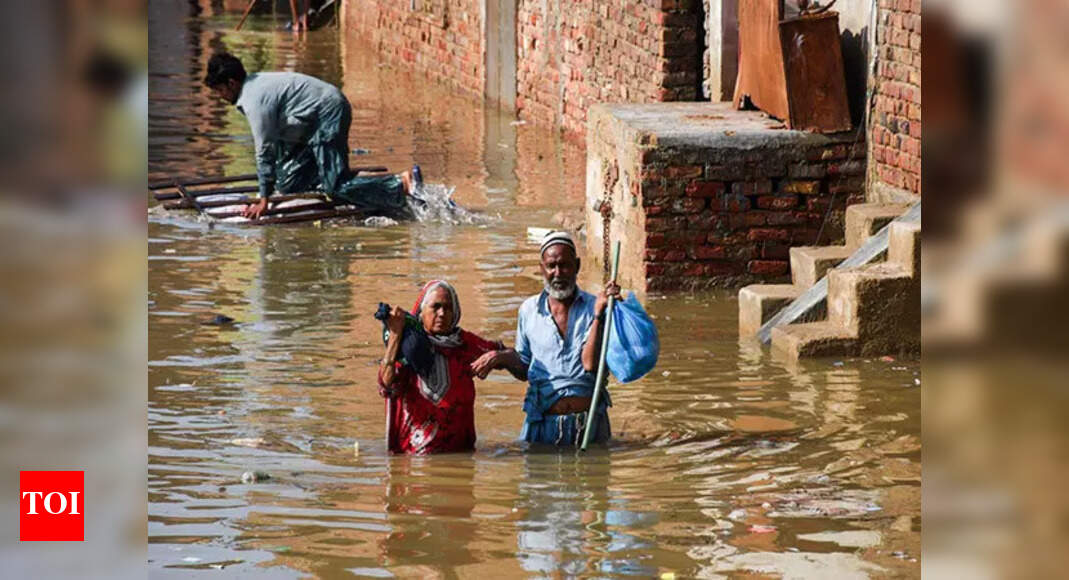 Pakistan floods: Survivors forced to live in temporary shelters for days; given no proper assistance