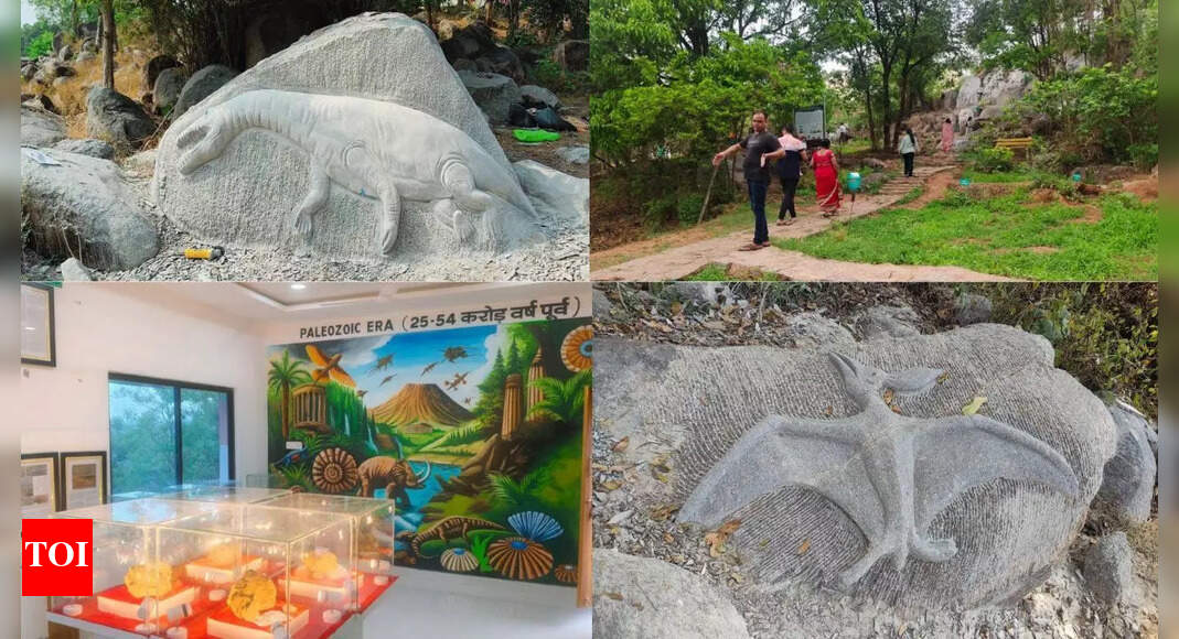 Gondwana marine fossil park in Manendragarh attracts 8,000 visitors in 4 months