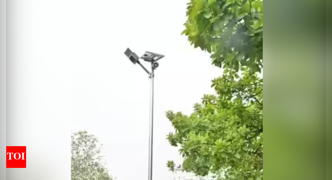 Karnataka: Bandipur Tiger Reserve to install solar cameras after elephant encounter