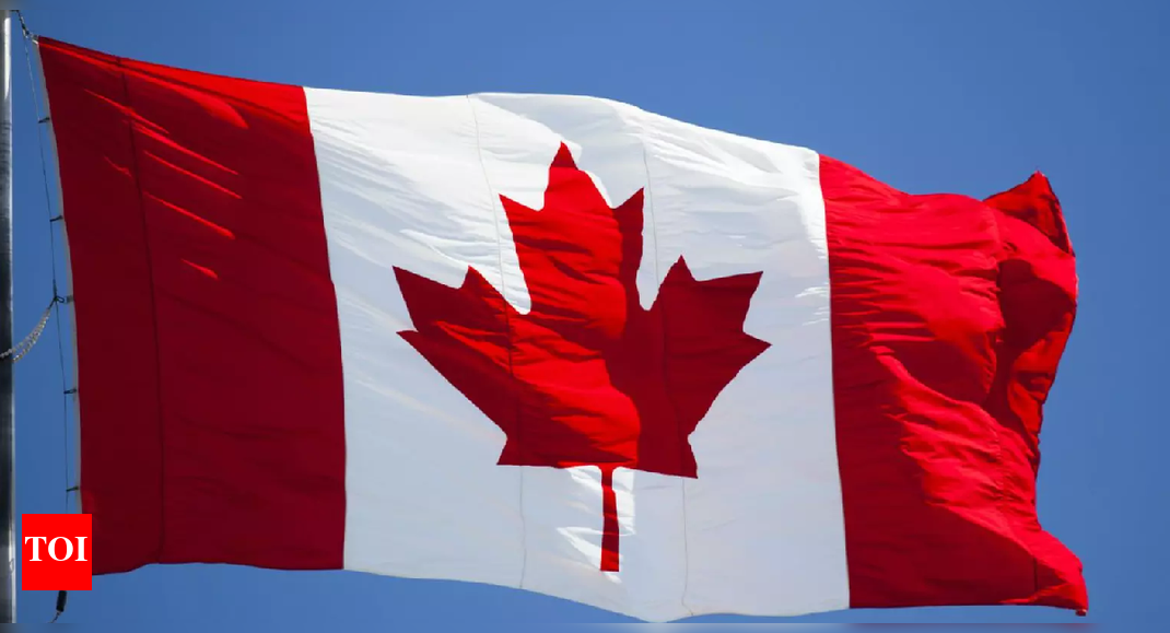 Canada narrows the gate: Student visa approvals fall to 43%, work permits to 69%