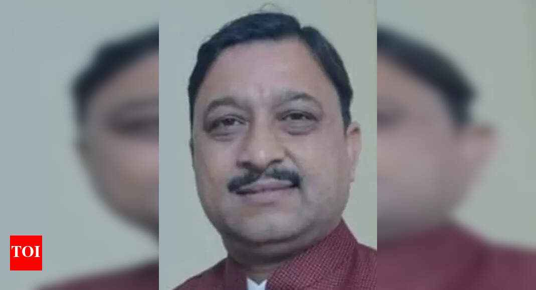 The Times of India - Politics - News Image