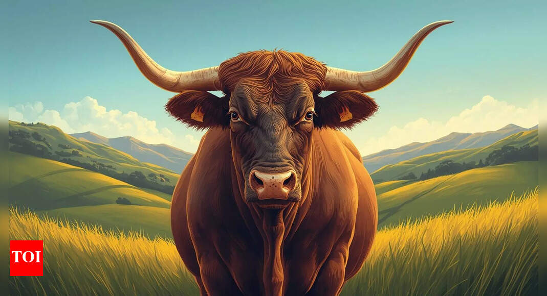 Taurus, Weekly Horoscope, September 14 to September 20, 2025: Embrace bold moves with thoughtful caution