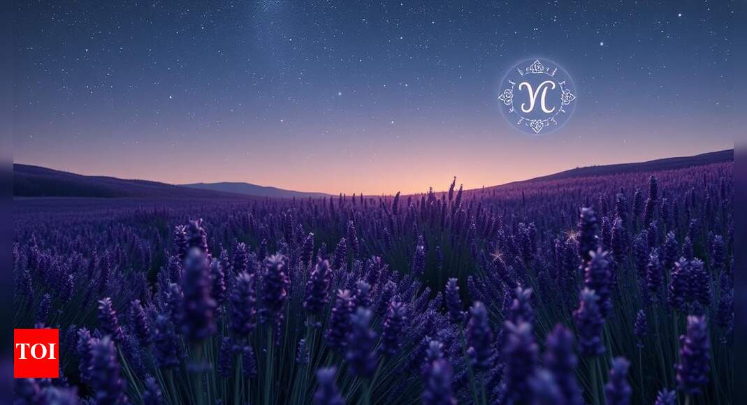 Virgo, Weekly Horoscope, September 14 to September 20,  2025: Avoid arguments and instead focus on understanding your loved ones