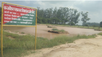  Haryana Saraswati Board VC