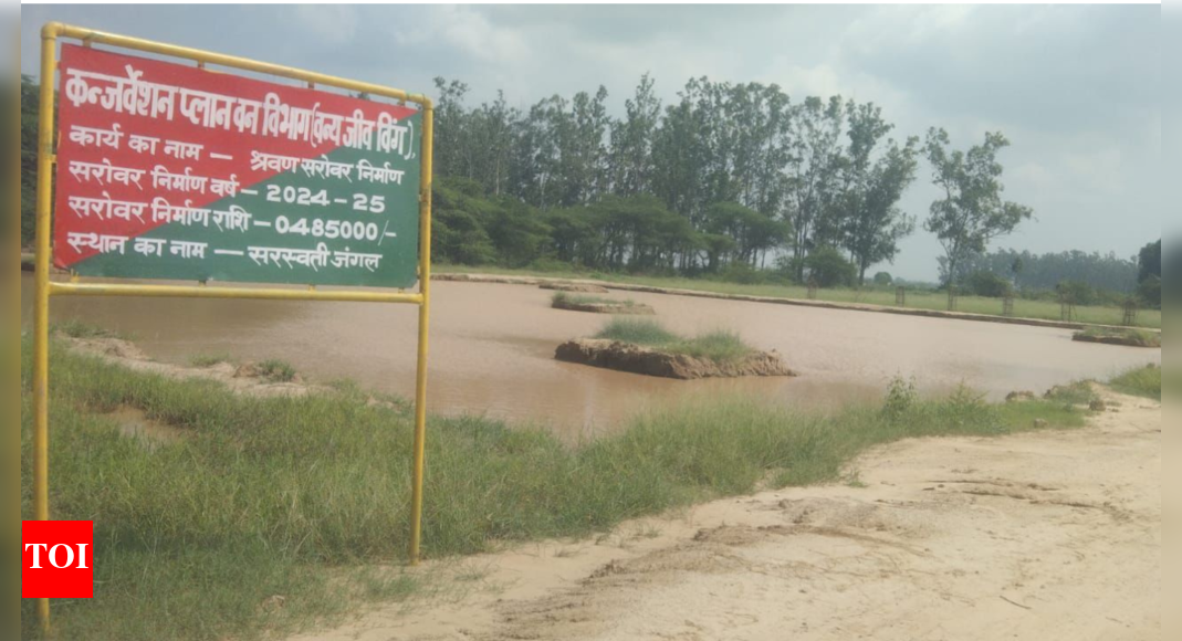 Haryana, Punjab and Rajasthan will have to adopt Saraswati River model for flood control: Haryana Saraswati Board VC