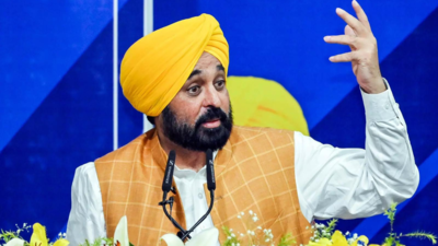 Punjab CM Bhagwant Mann vows timely, maximum compensation for flood-affected families