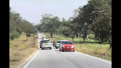 Bandipur tiger reserve plans solar cameras after elephant incident