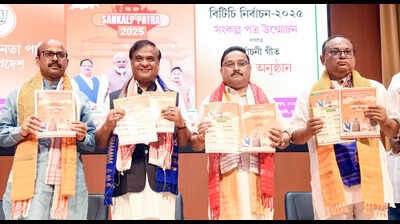 BJP launches manifesto for Bodoland Territorial Council elections, promises development and unity
