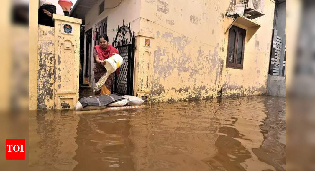 The Times of India - Politics - News Image