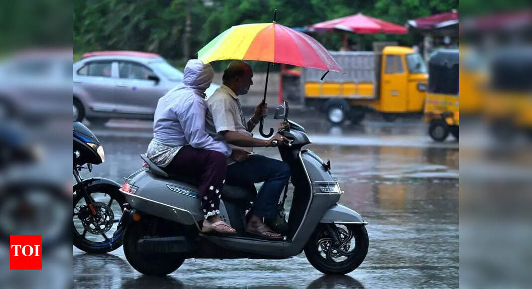 The Times of India - Politics - News Image