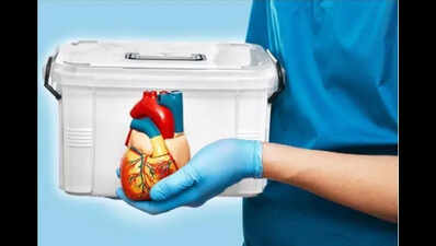 Heart of the matter: Bengaluru races against time for 3 transplants in 12 hours