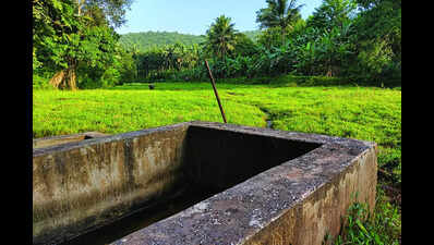 Of 2L sqm land left, only 20% is barren, says Codar comunidade