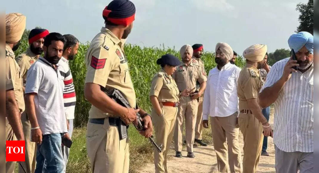 The Times of India - Politics - News Image