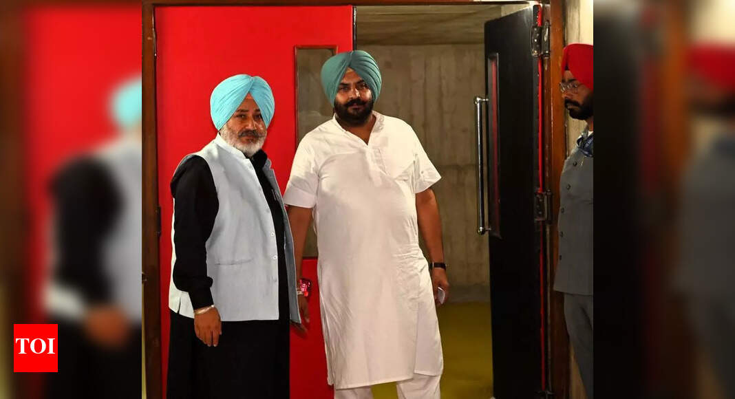 The Times of India - Politics - News Image