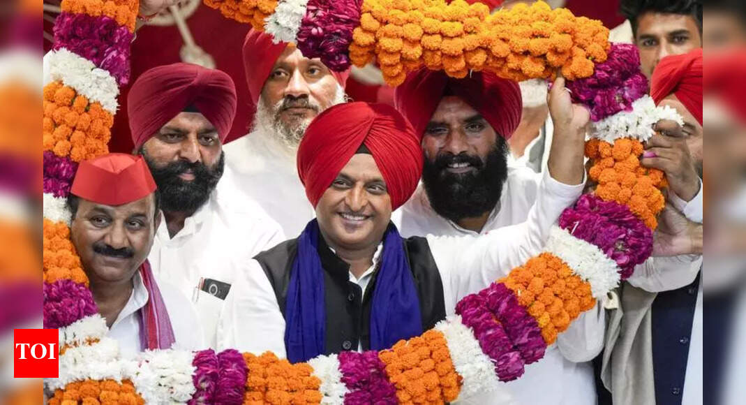 The Times of India - Politics - News Image