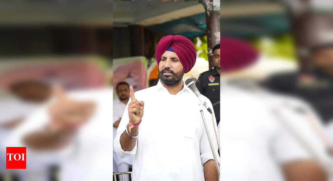 The Times of India - Politics - News Image