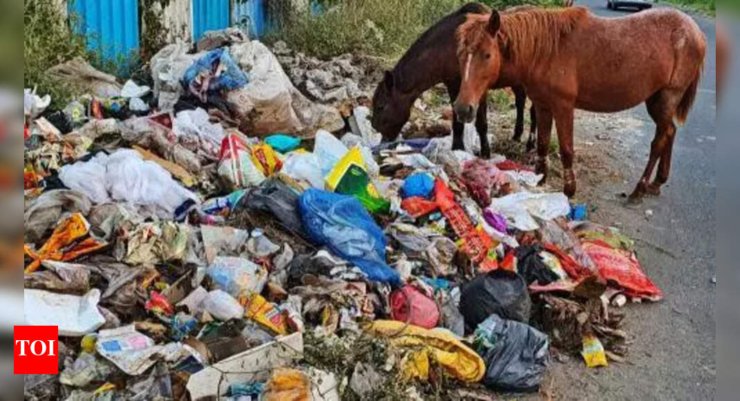 The Times of India - Business - News Image