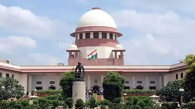 Include sex harassment case against you in resume, Supreme Court tells law university VC