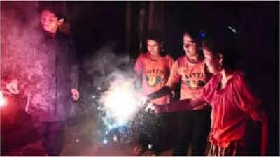 SC may rethink cracker ban, restrains authorities from cancelling licences