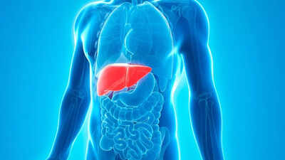 Stand up for your liver: How sitting less can reduce liver disease risk