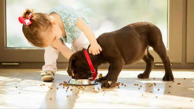 5 ways to encourage your child to care for pets responsibly