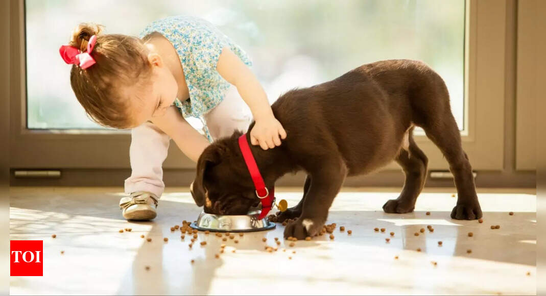 5 ways to encourage your child to care for pets responsibly