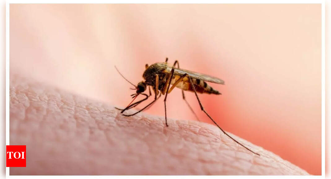 India’s first Malaria vaccine AdFalciVax could be a game changer in the country's decades long fight against the disease