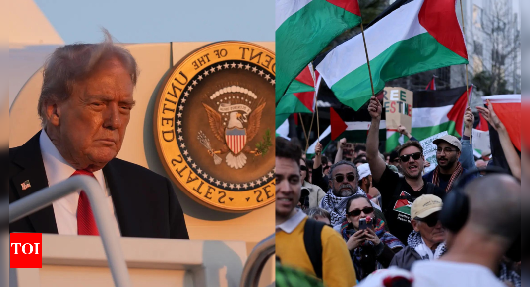'Insult to victims': US slams UN resolution on Palestine, calls it 'gift to Hamas'