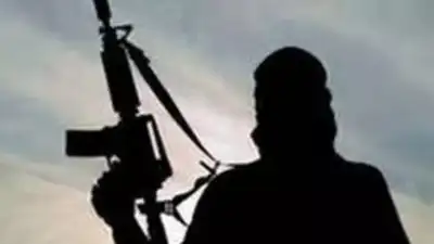  Naxalite killed in Bijapur encounter; weapons, explosives seized