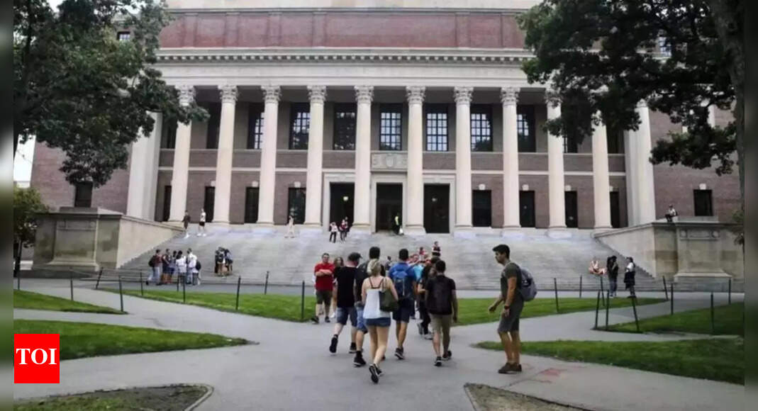 Are 500,000 undocumented students the new targets in America’s higher education wars?