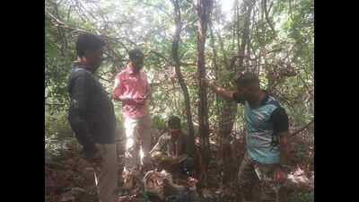 Sandur smugglers take ‘Pushpa’ route to ship out sandalwood