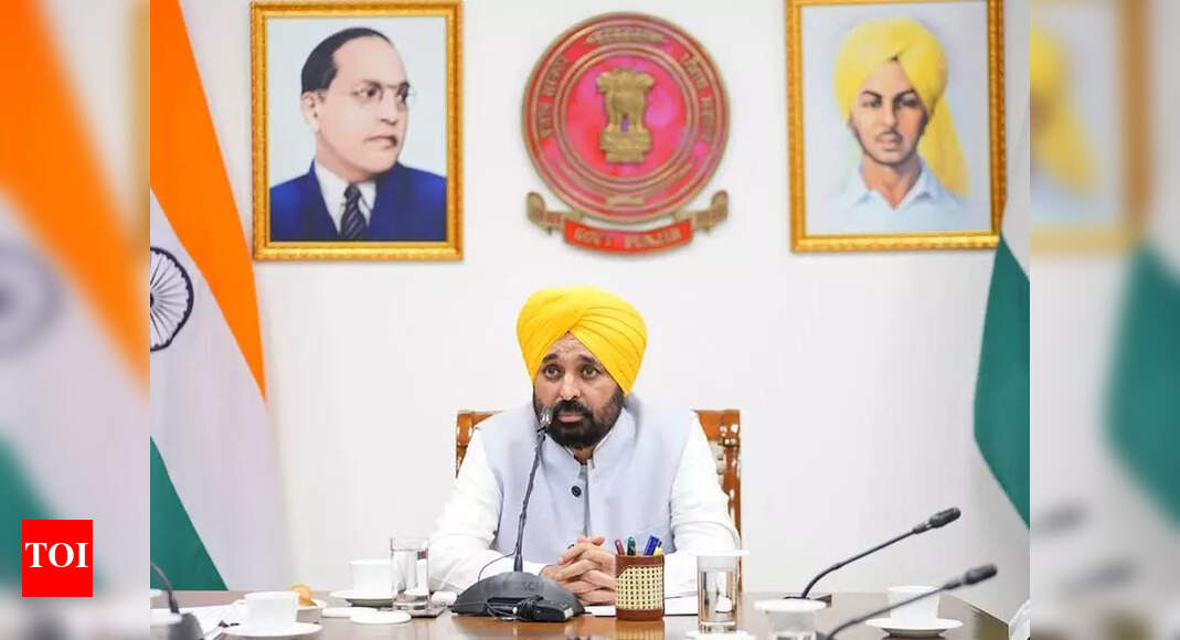 The Times of India - Politics - News Image