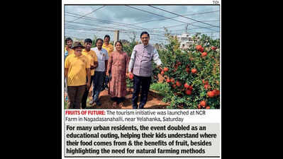 Bengaluru gets its first taste of pomegranate farm tourism