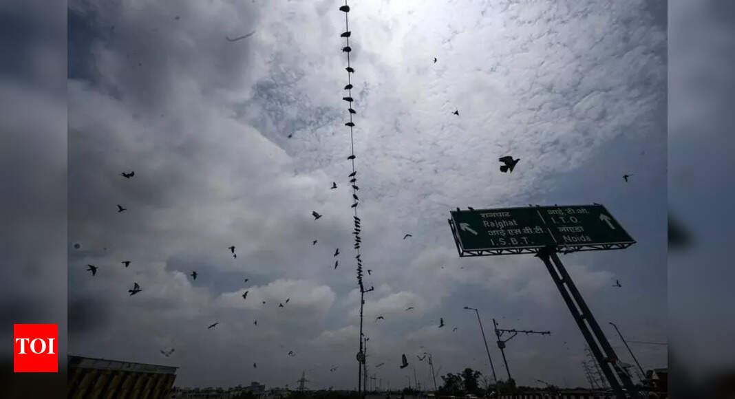 The Times of India - Other - News Image