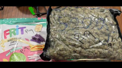 DRI seizes gold, weed worth over 17 crore at Jaipur airport